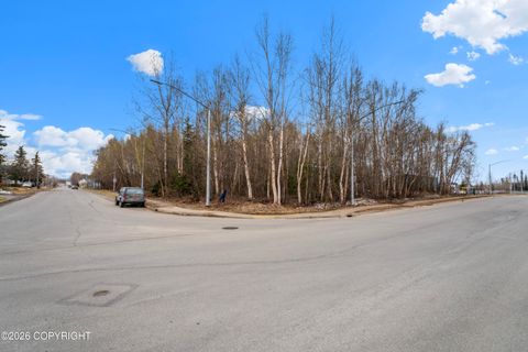 Vacant Land For Sale - 7200 Meadow Street<br/> Anchorage, AK 99507
