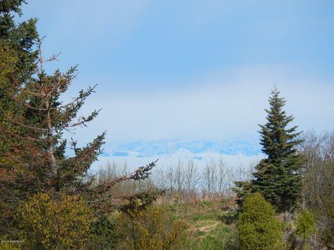Vacant Land For Sale - 17286 Hyila Lane<br/> Ninilchik, AK 99639