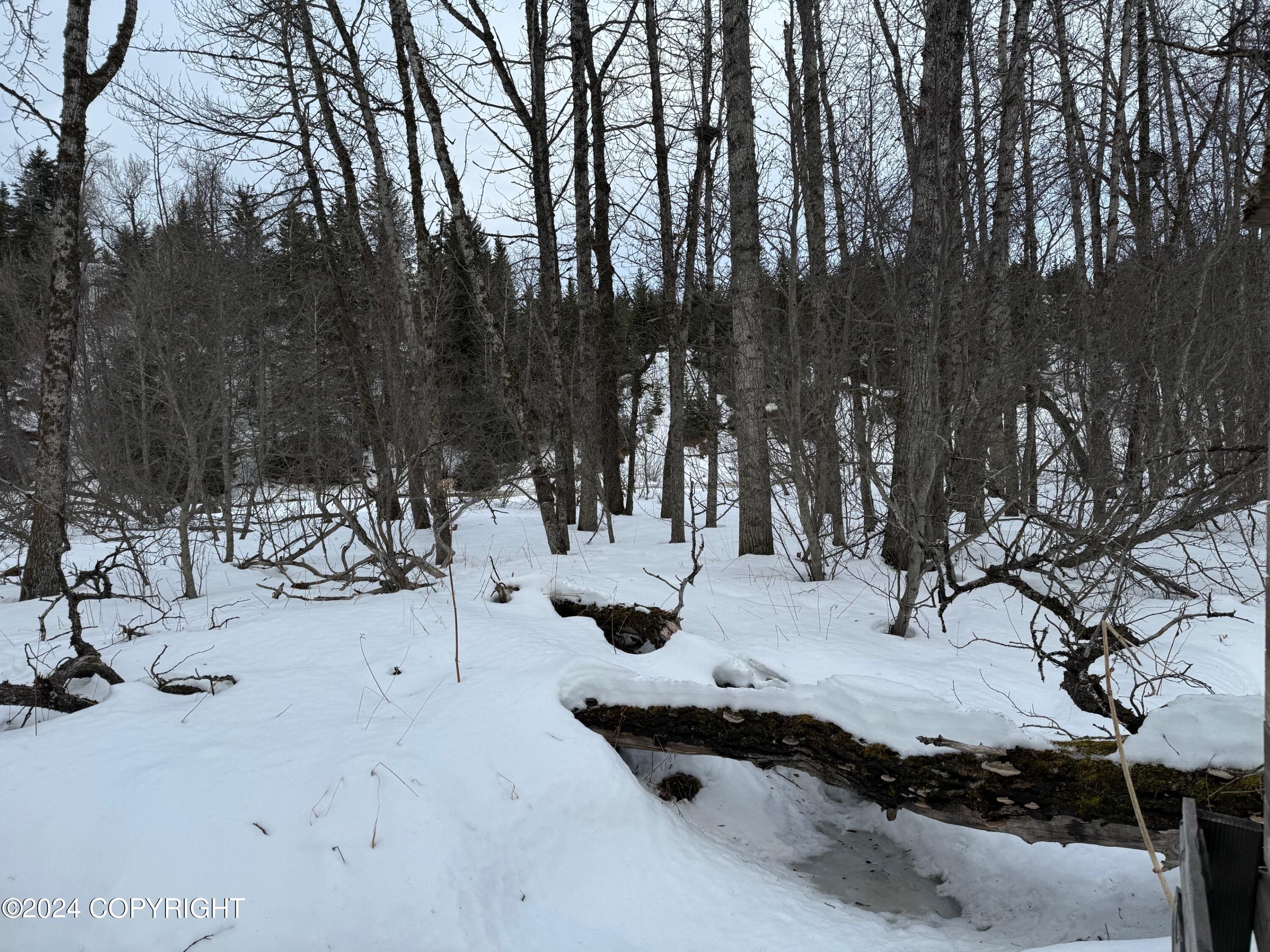 73790 Cuffel Ditton Road #P/O LT 76-79 BEARD H, Anchor Point, Alaska image 8