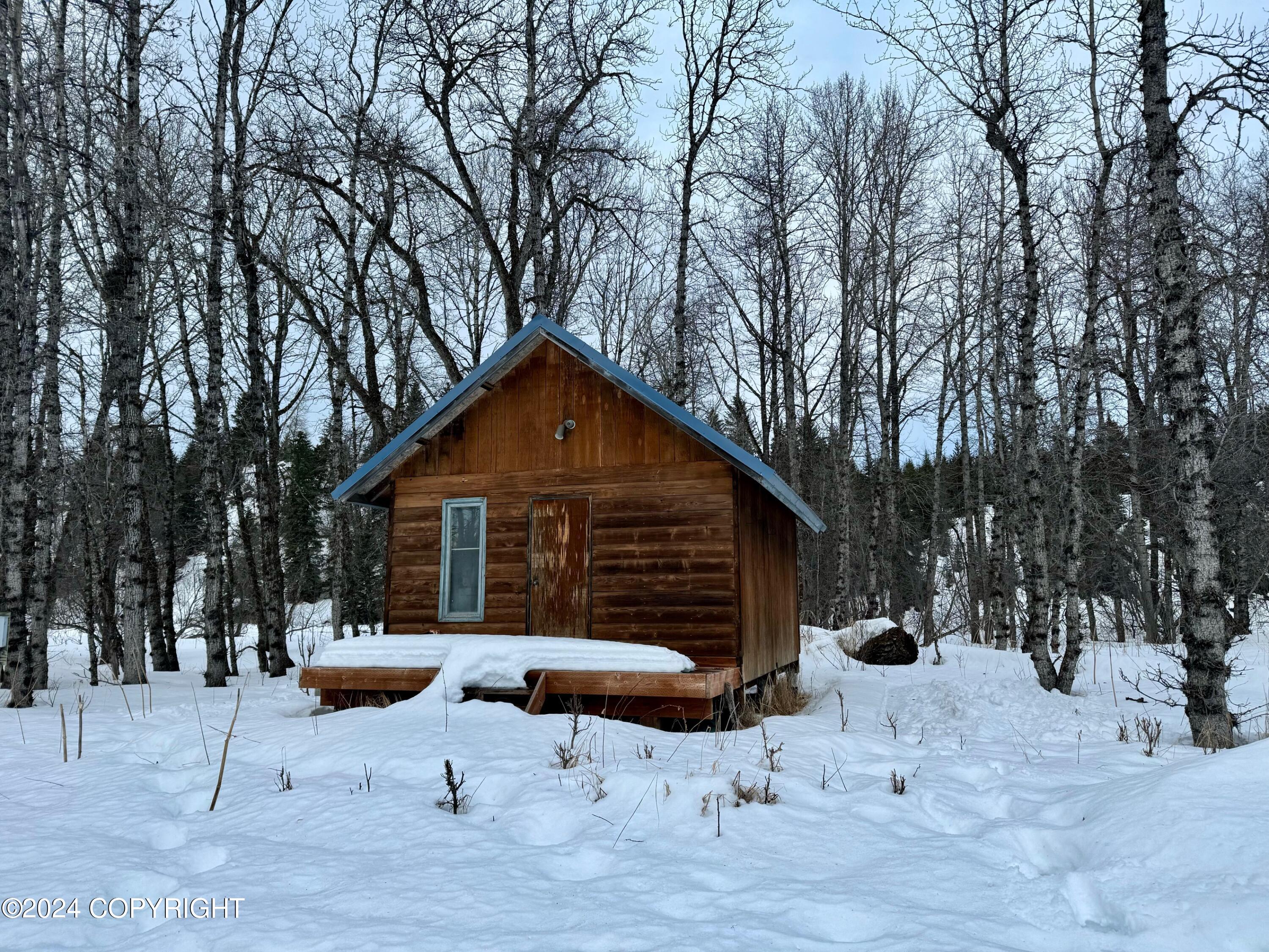 73790 Cuffel Ditton Road #P/O LT 76-79 BEARD H, Anchor Point, Alaska image 12
