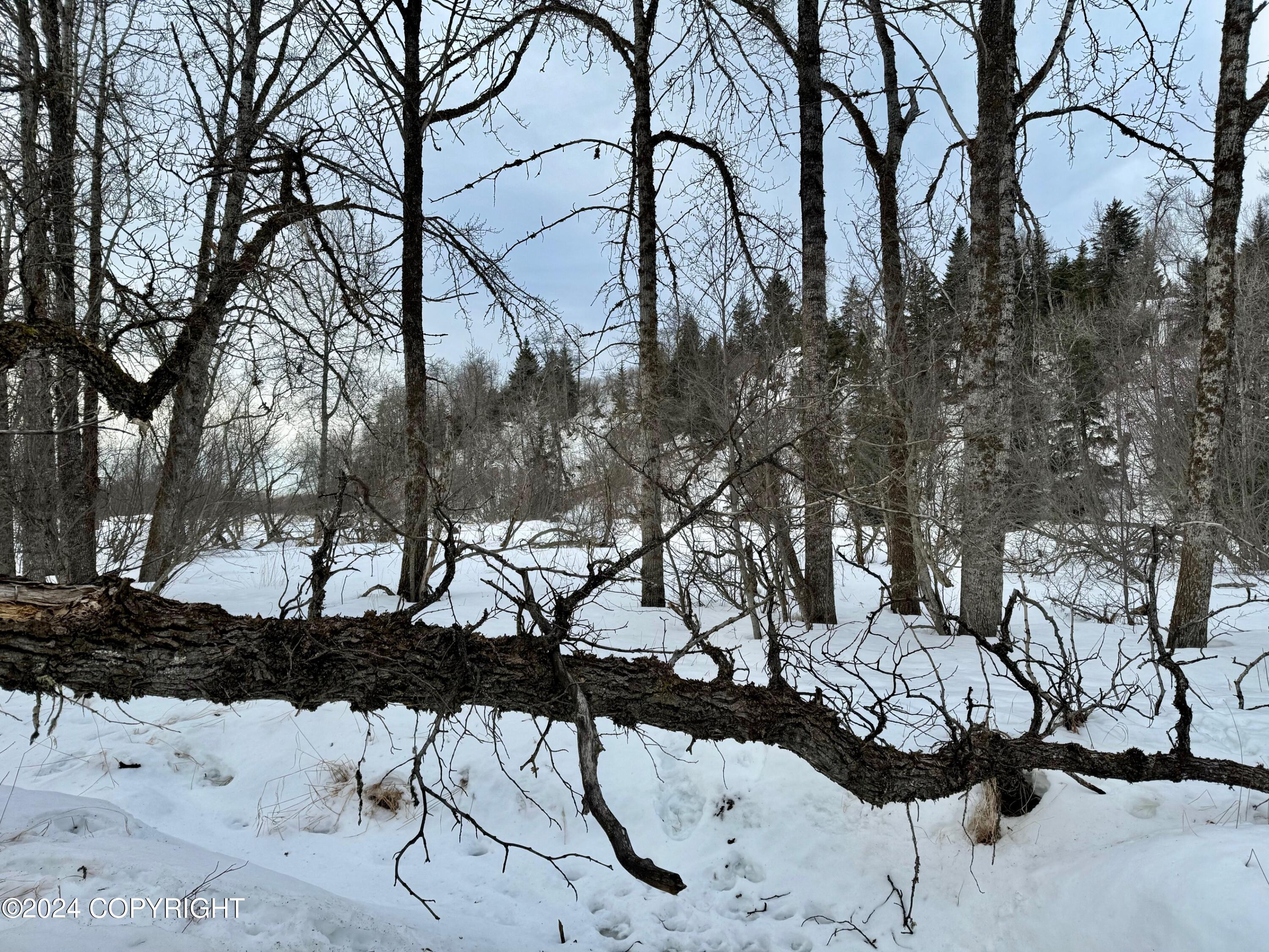 73790 Cuffel Ditton Road #P/O LT 76-79 BEARD H, Anchor Point, Alaska image 10