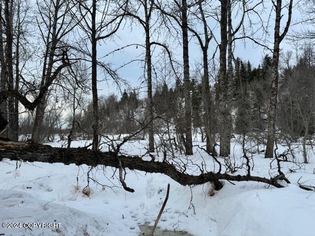 73790 Cuffel Ditton Road #P/O LT 76-79 BEARD H, Anchor Point, Alaska image 7