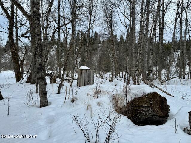 73790 Cuffel Ditton Road #P/O LT 76-79 BEARD H, Anchor Point, Alaska image 6