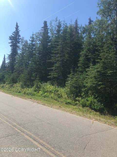 Vacant Land For Sale - 307 Highbush Lane<br/> Kenai, AK 99611