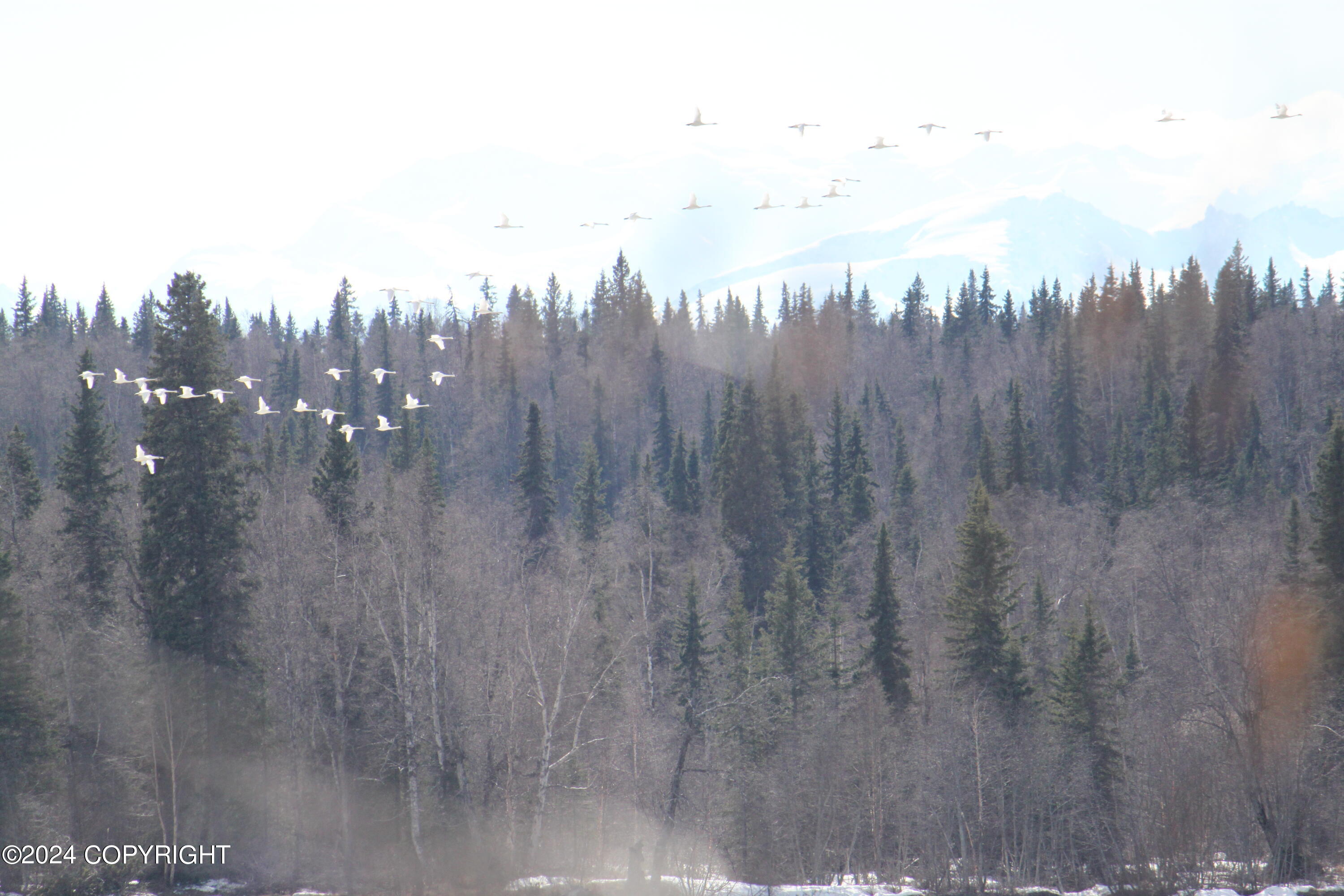 L33 No Road Avenue, Skwentna, Alaska image 37