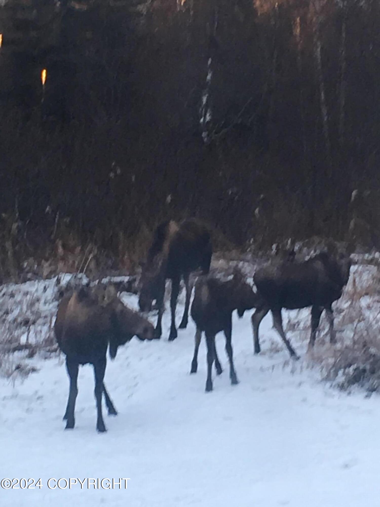 L33 No Road Avenue, Skwentna, Alaska image 38
