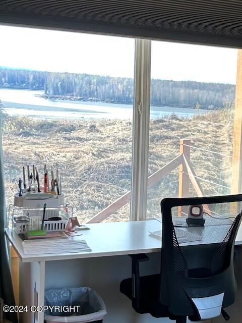 L33 No Road Avenue, Skwentna, Alaska image 16