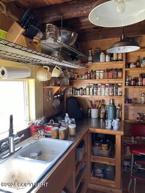 L33 No Road Avenue, Skwentna, Alaska image 6