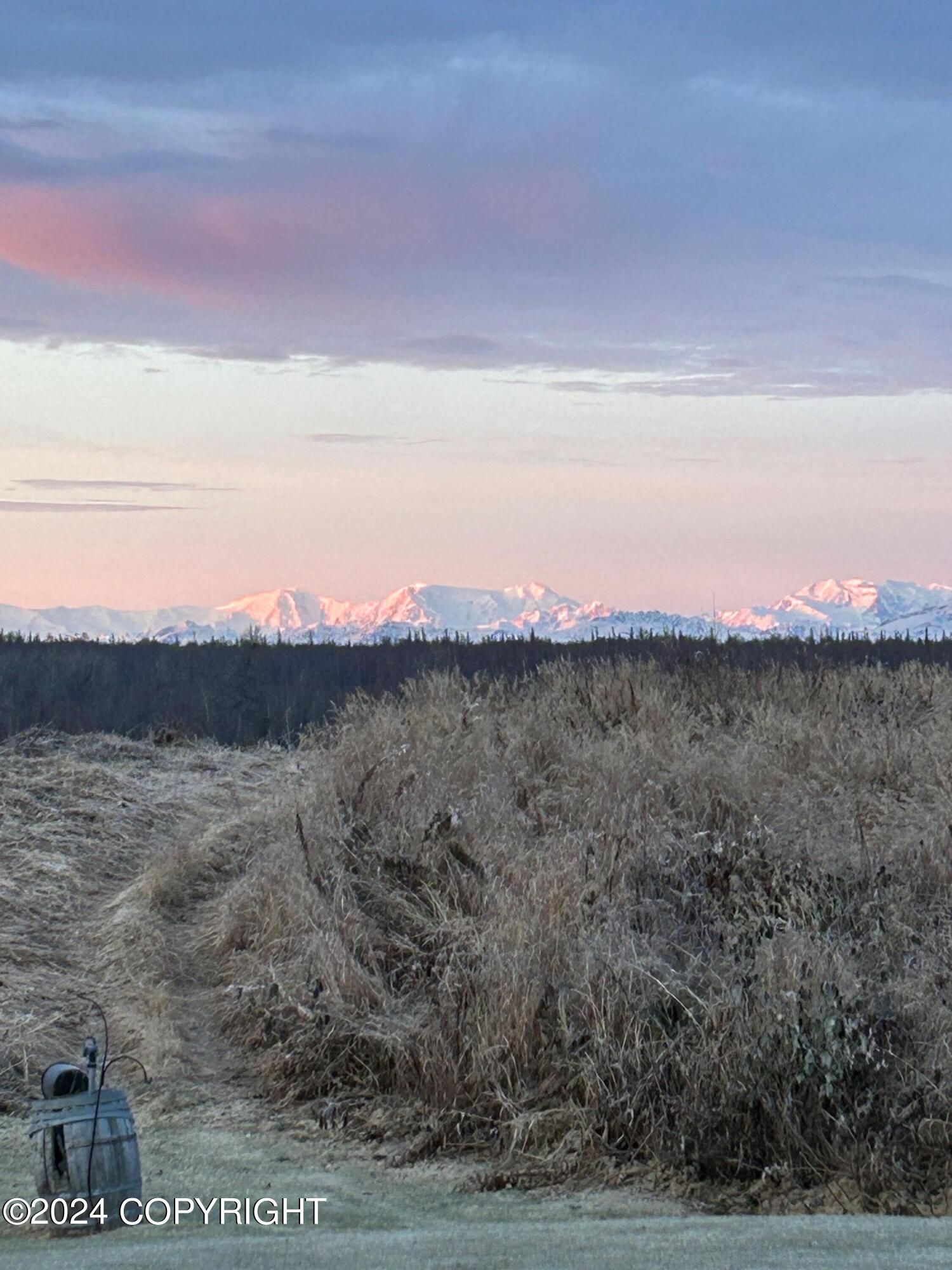 L33 No Road Avenue, Skwentna, Alaska image 34
