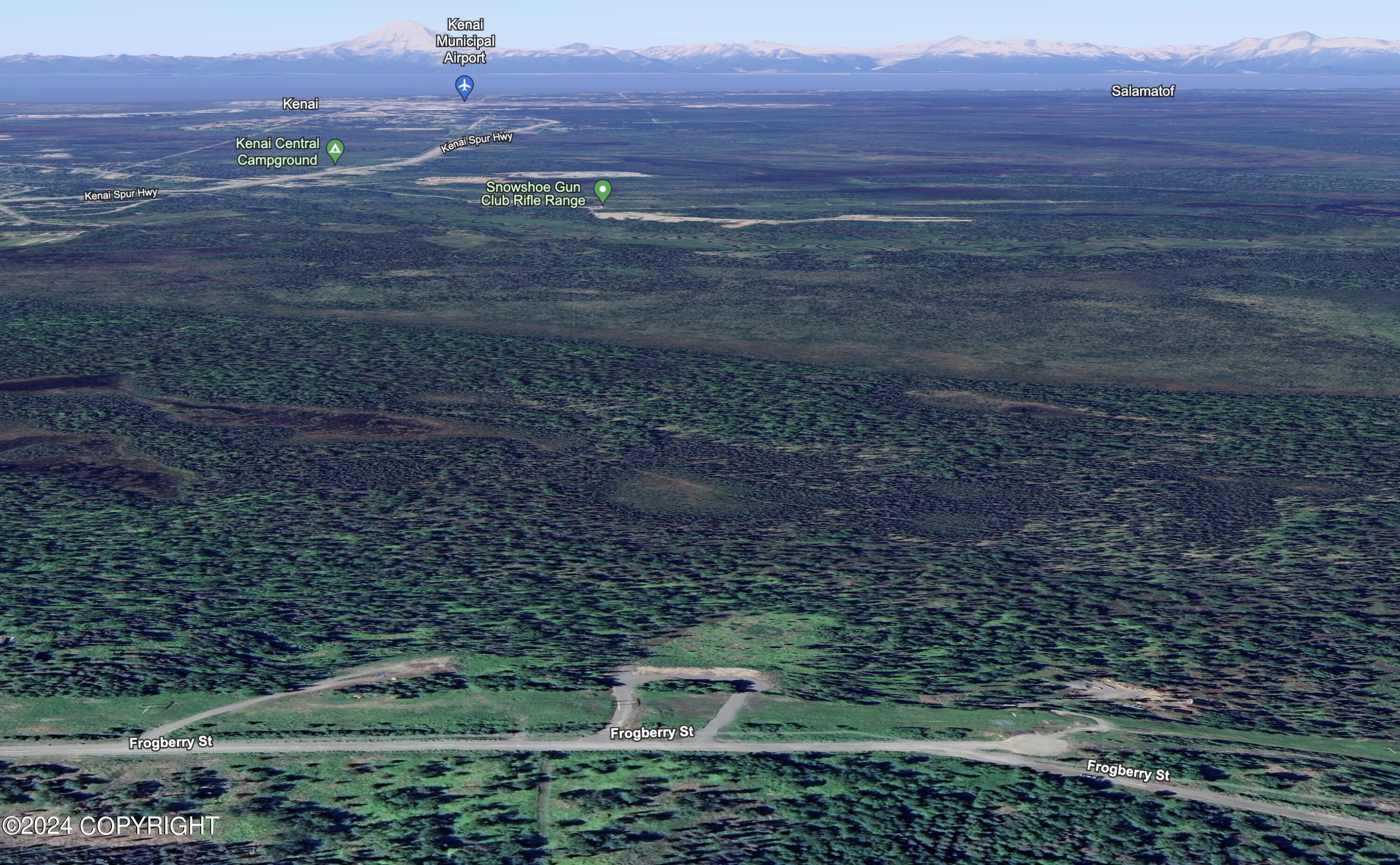 000 Bearberry Street, Kenai, Alaska image 16