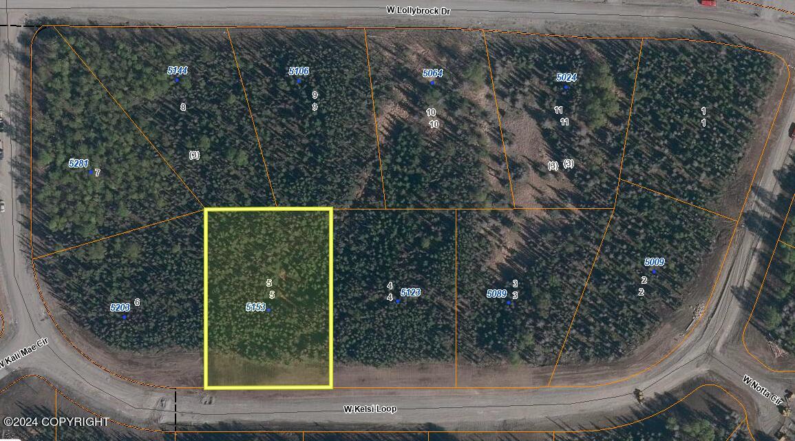 5153 W Kelsi Loop, Wasilla, Alaska image 1