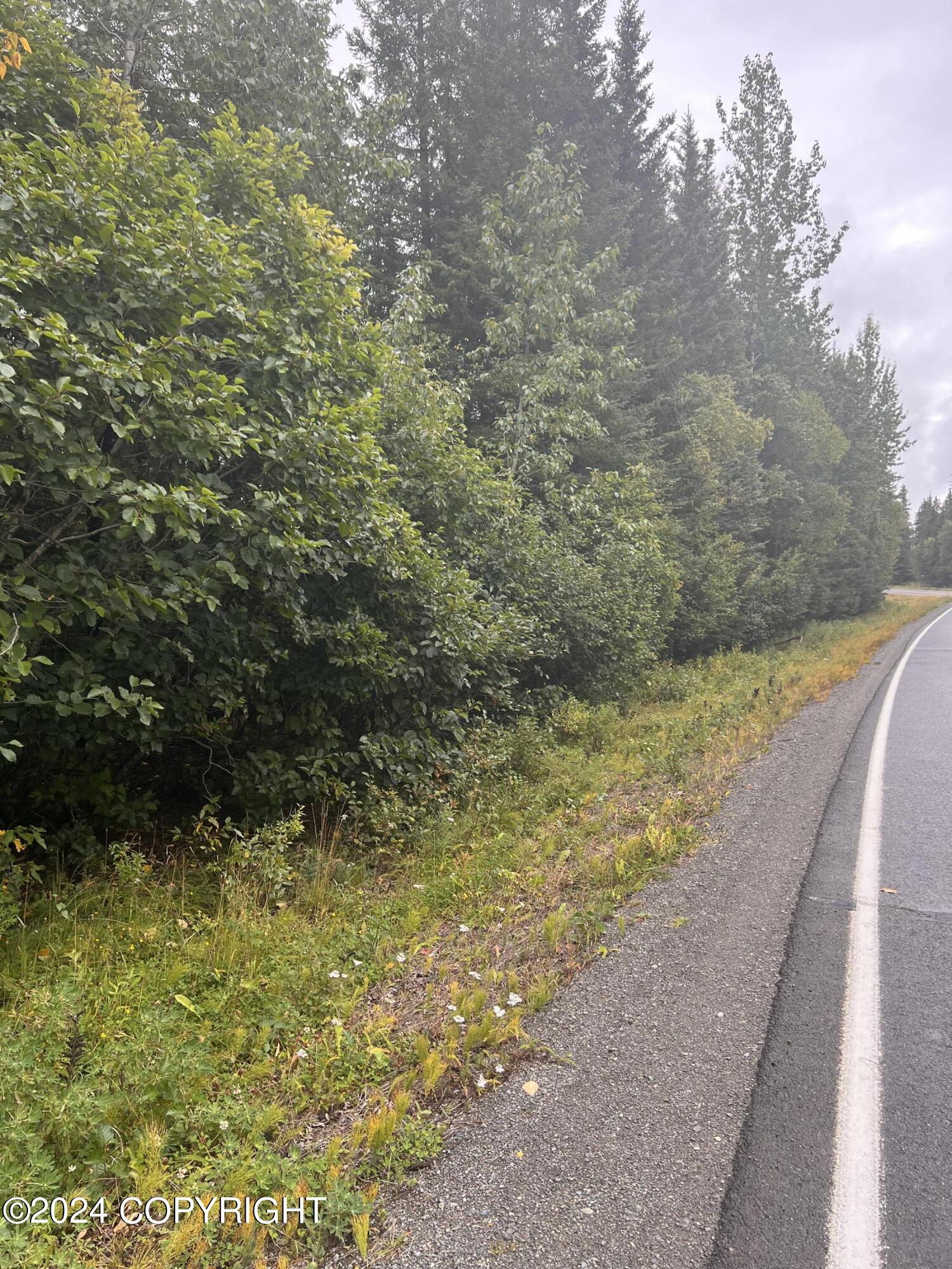 L2B4 Old Sterling Highway, Anchor Point, Alaska image 5
