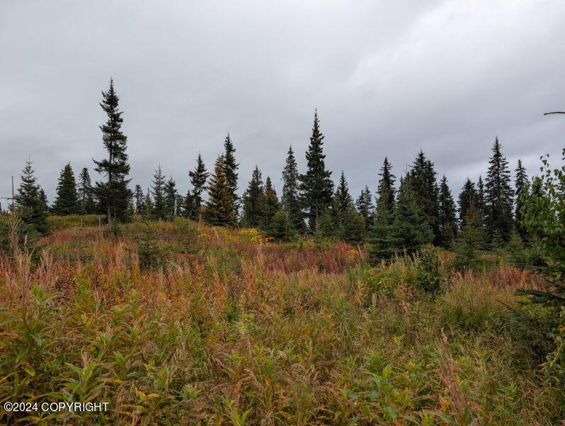 L2B4 Old Sterling Highway, Anchor Point, Alaska image 10