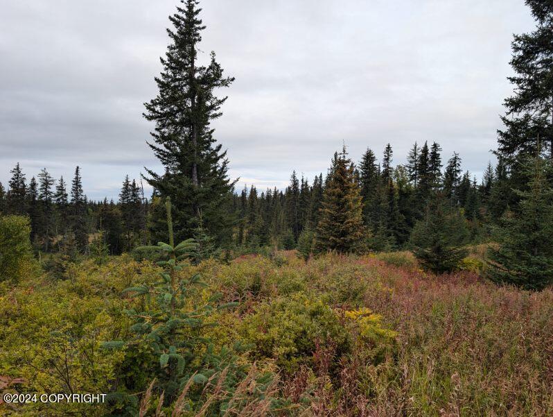 L2B4 Old Sterling Highway, Anchor Point, Alaska image 13