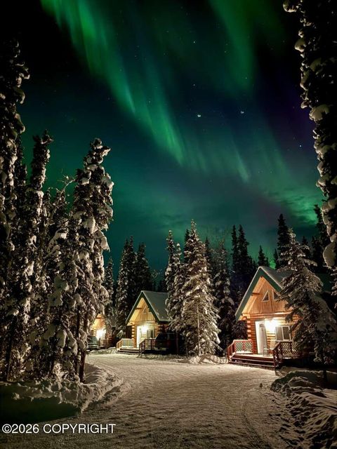 5 Borealis Avenue Tok AK 99780