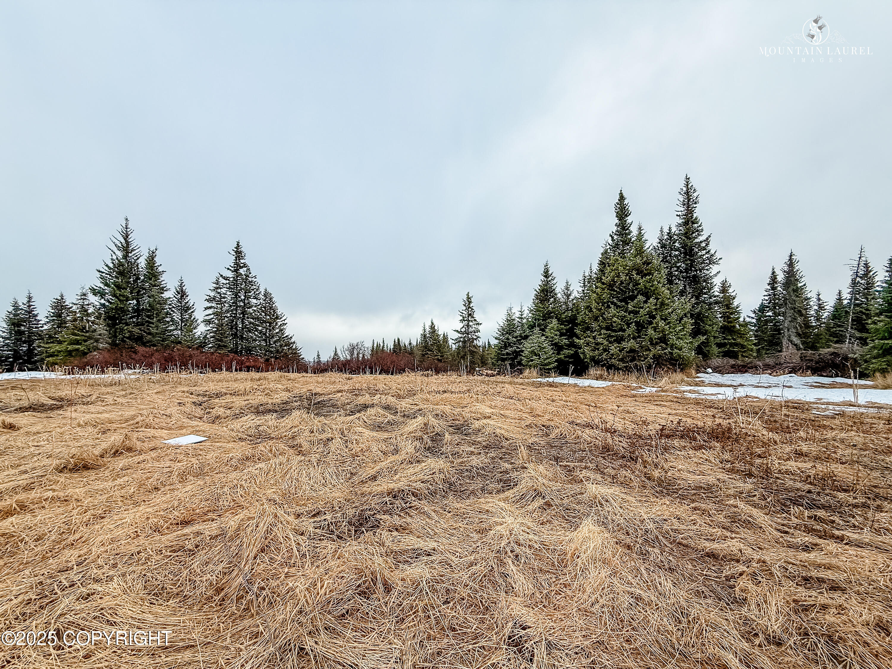 29026 Caribou View Lane, Homer, Alaska image 7