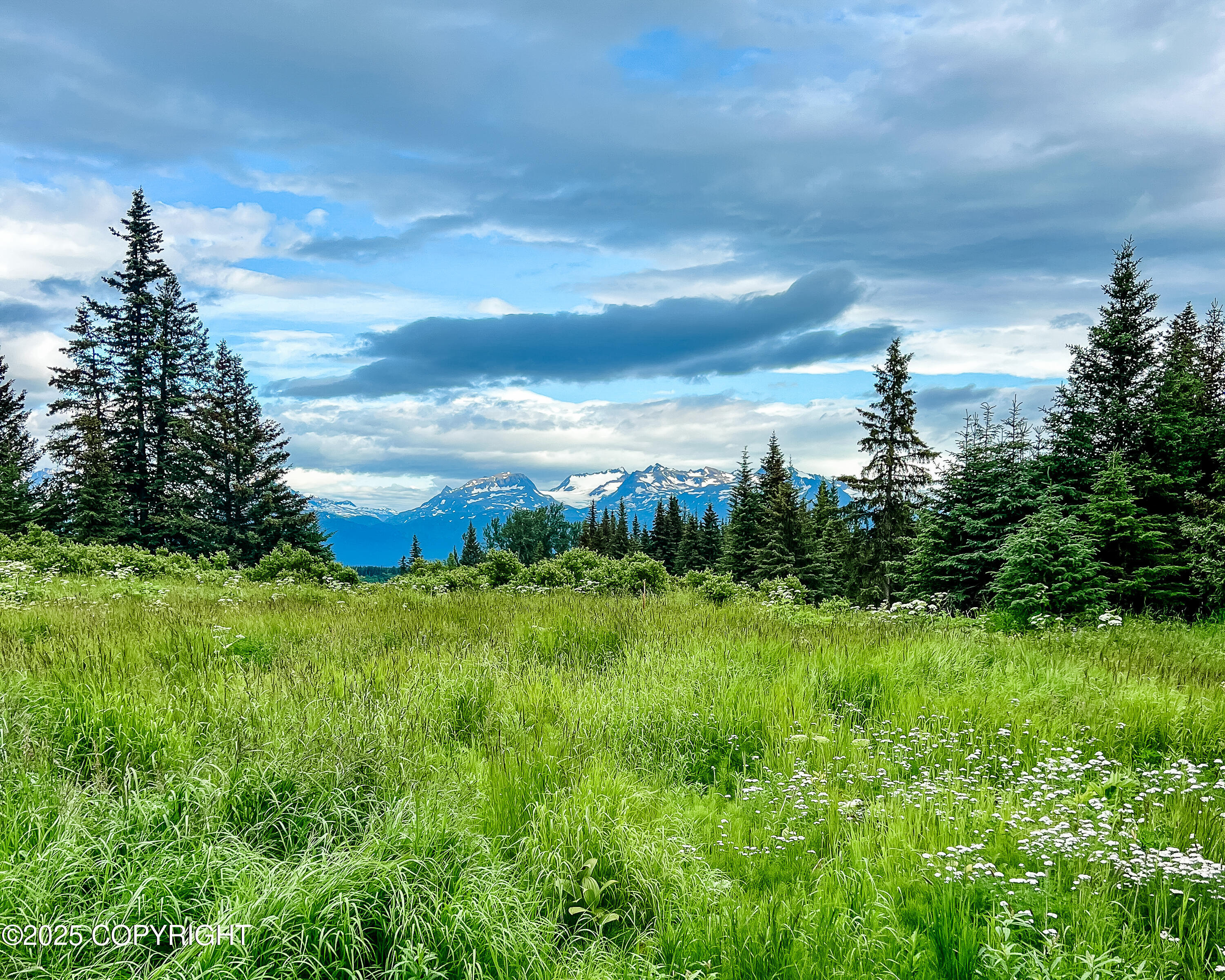 29026 Caribou View Lane, Homer, Alaska image 2
