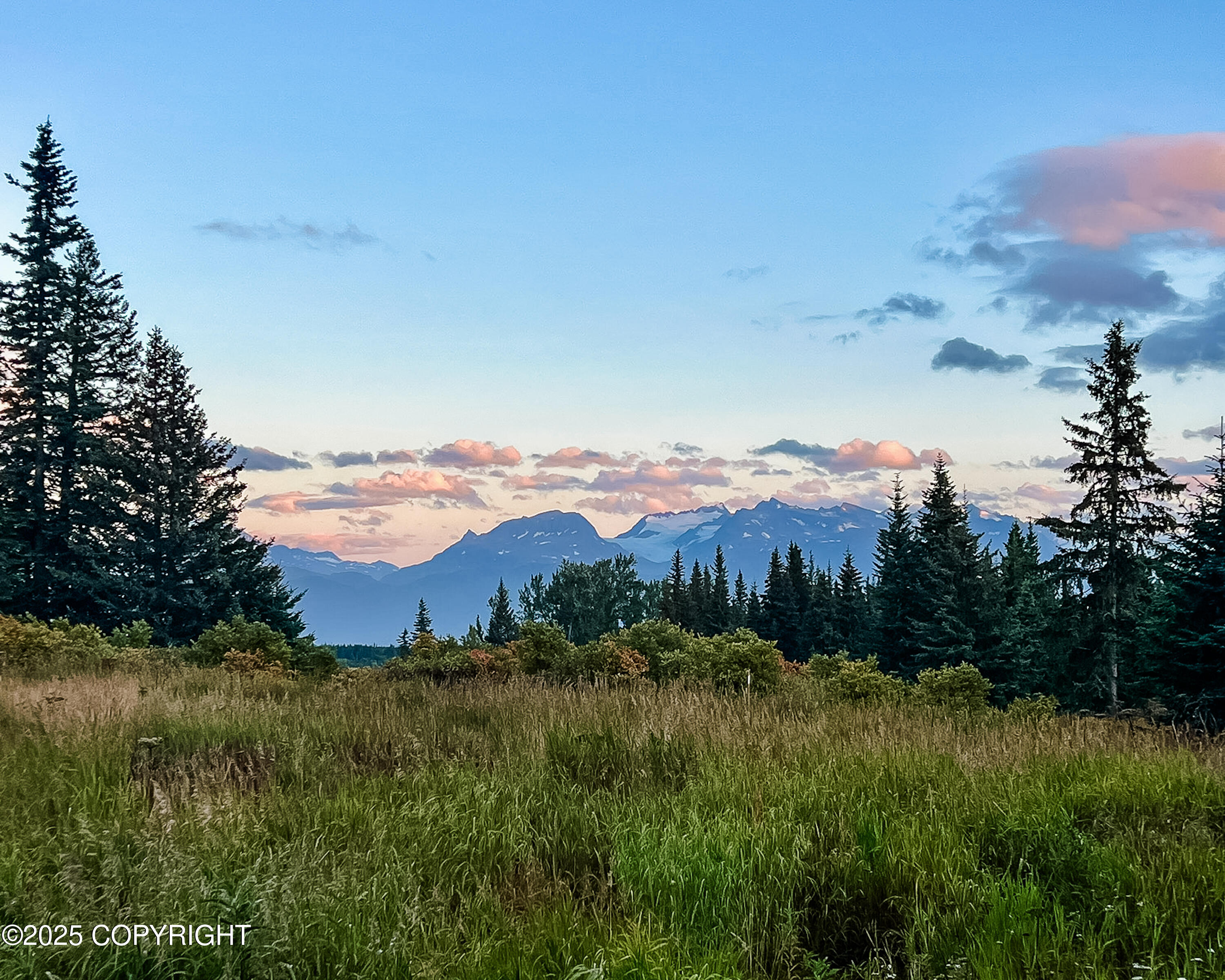 29026 Caribou View Lane, Homer, Alaska image 3