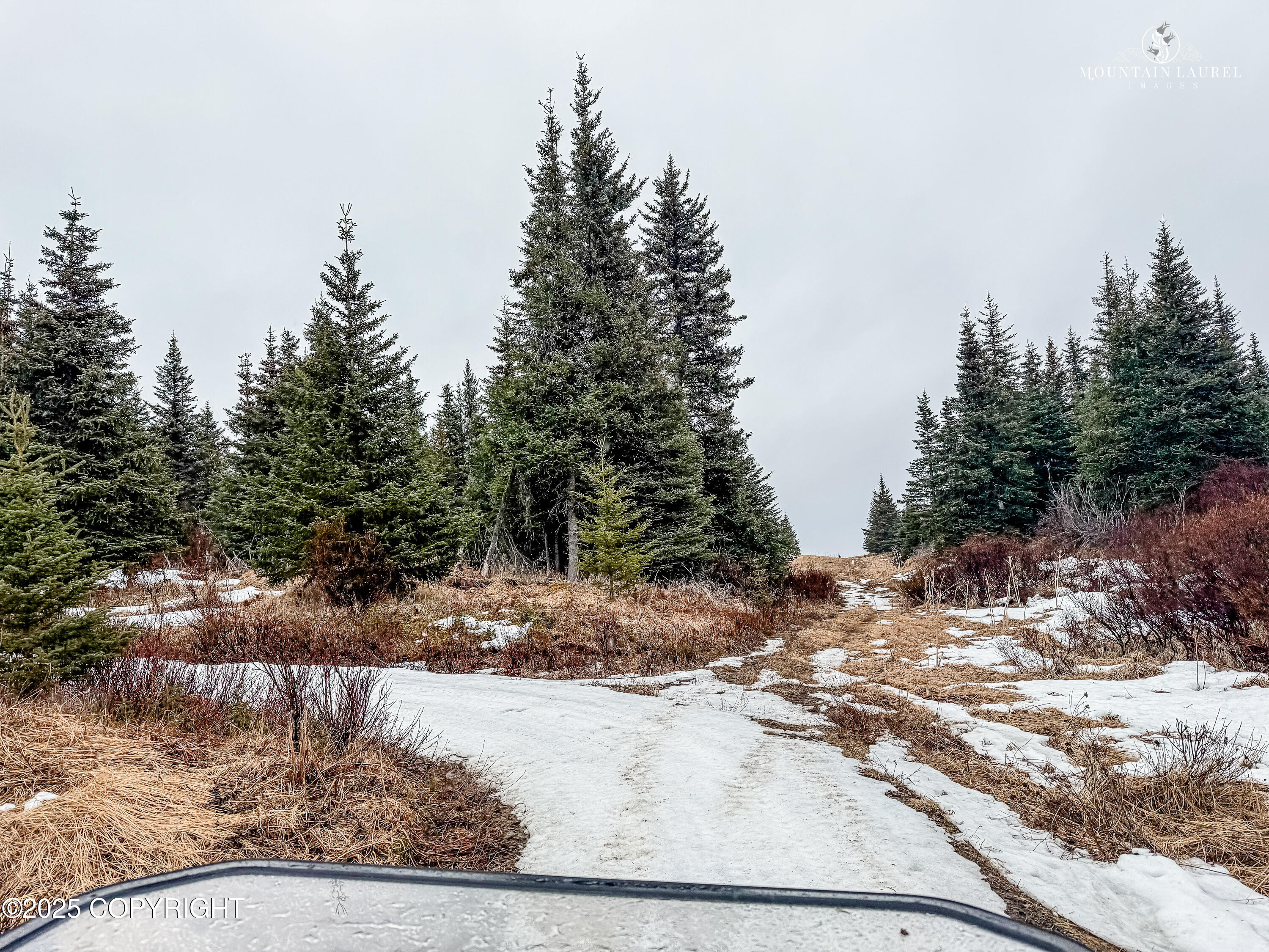29026 Caribou View Lane, Homer, Alaska image 26