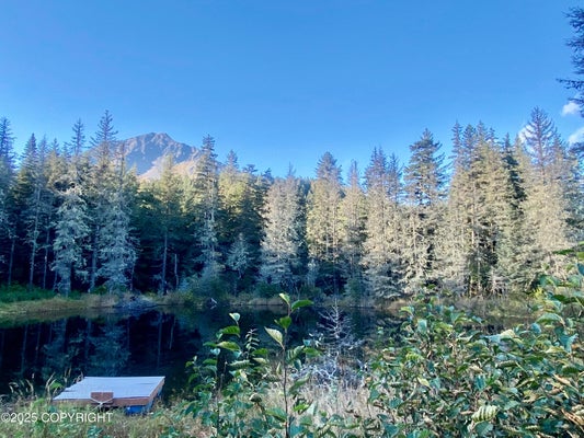 MOXIE CT, STERLING, AK 99672 - Image ed2aa42887206e9dd8cdc6e8b248437a/3551969294