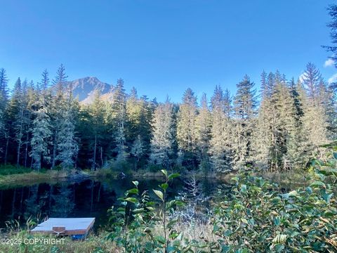 Vacant Land For Sale - 31940 Maxwell Court<br/> Seward, AK 99664