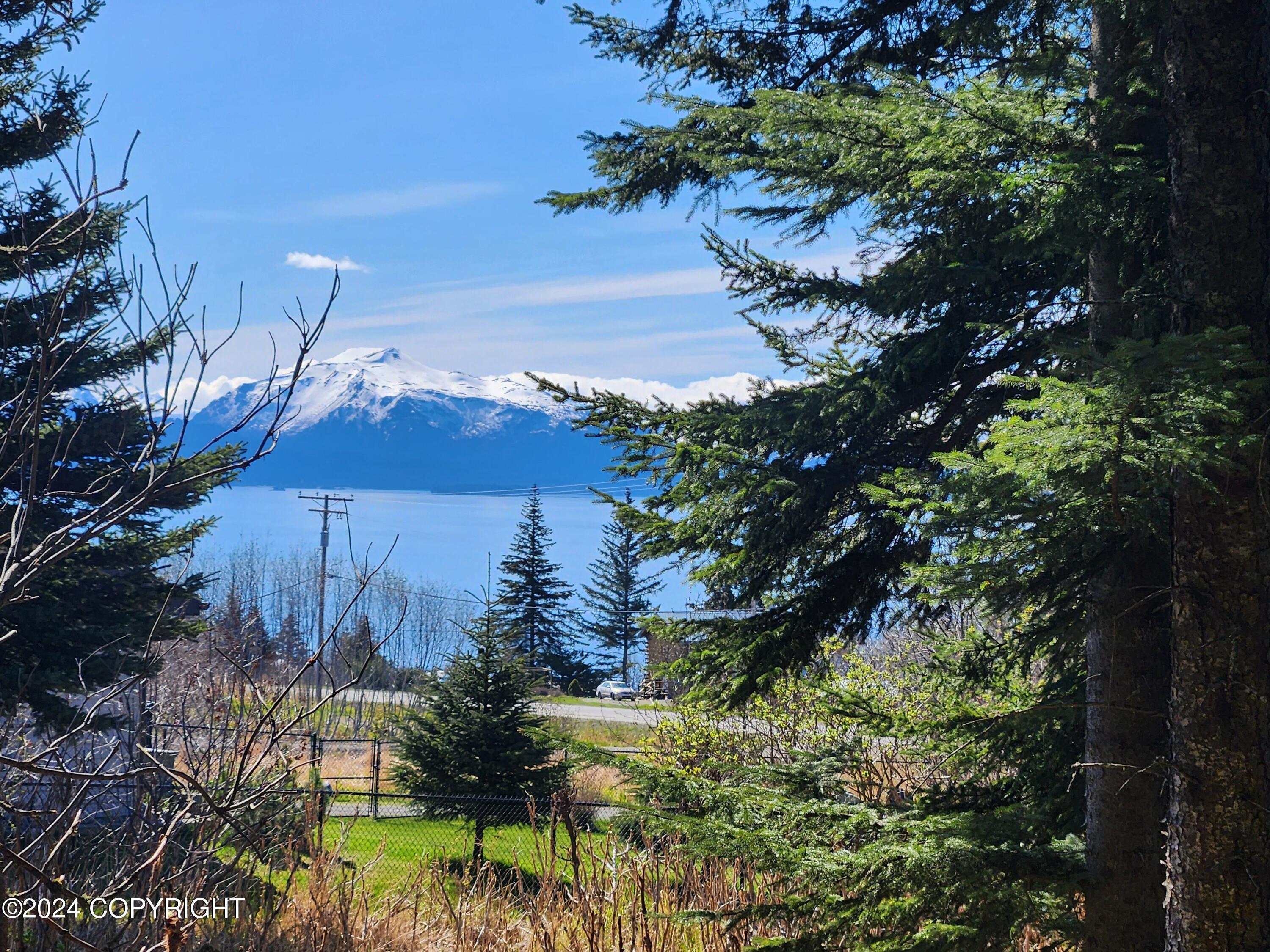 1742 Sterling Highway, Homer, Alaska image 1