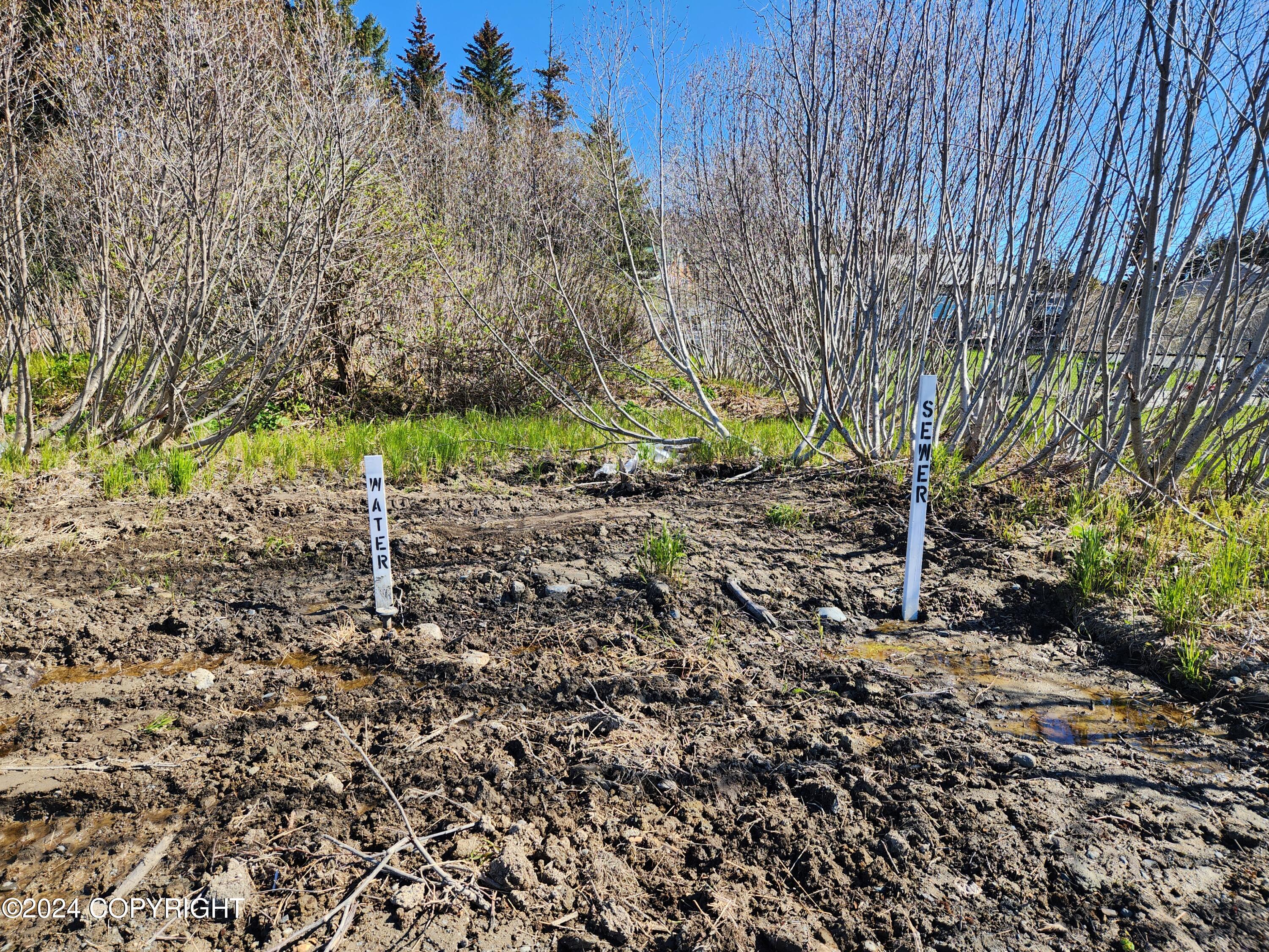 1742 Sterling Highway, Homer, Alaska image 12