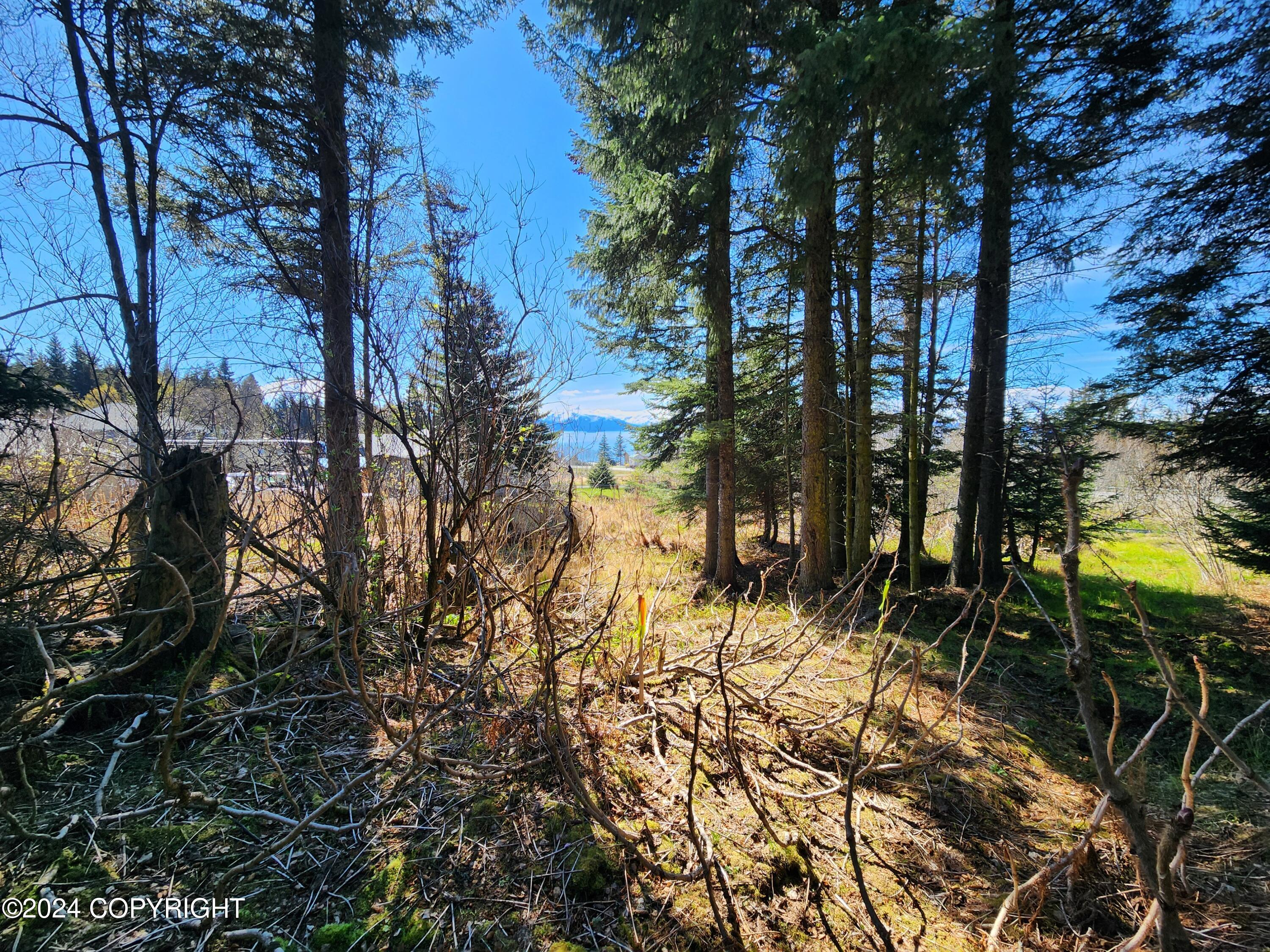 1742 Sterling Highway, Homer, Alaska image 4