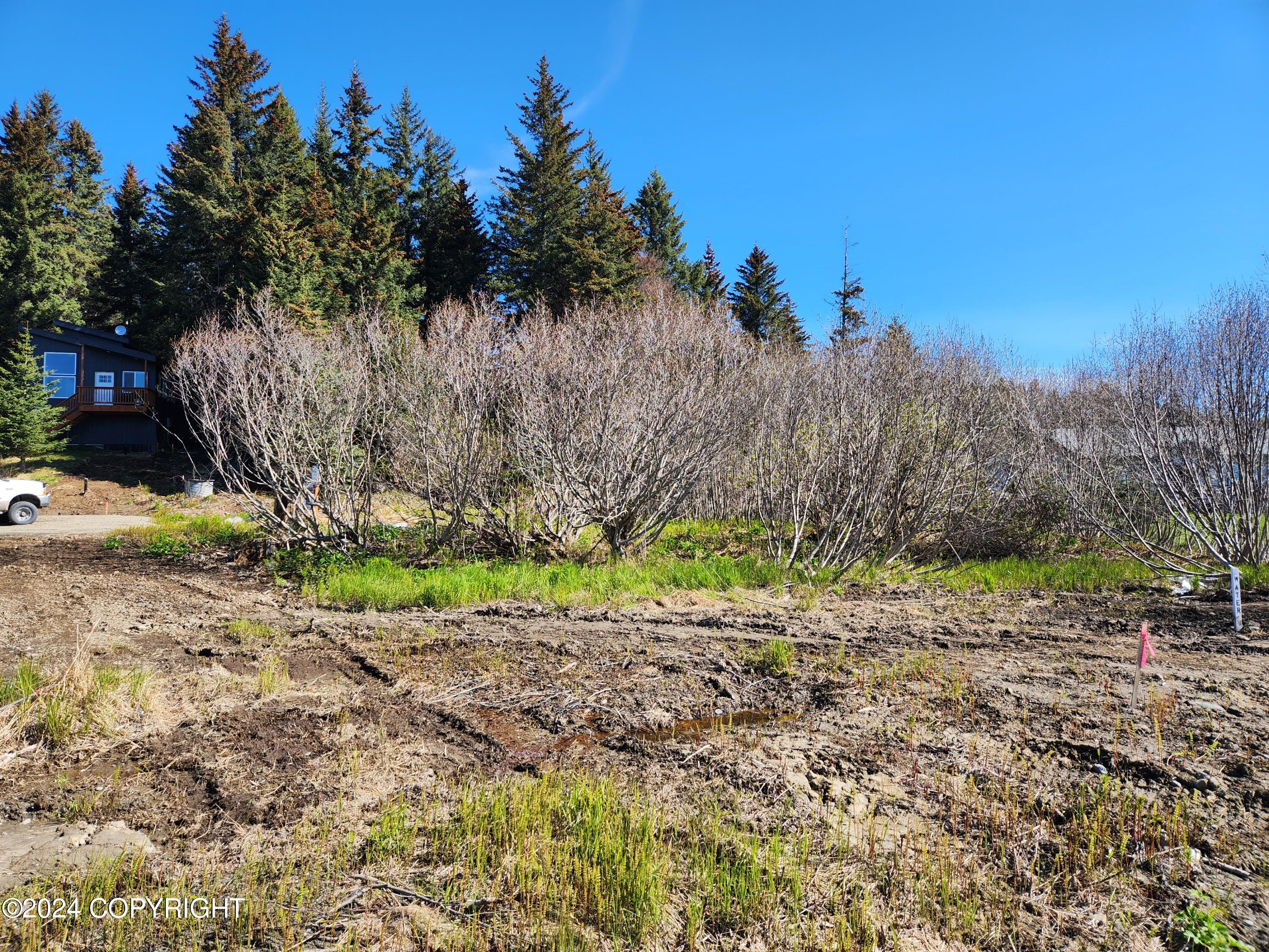 1742 Sterling Highway, Homer, Alaska image 11