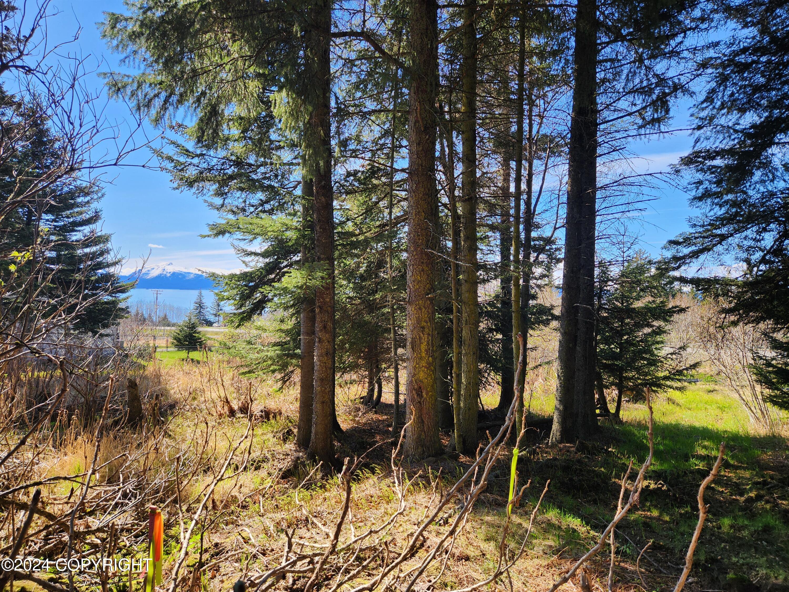 1742 Sterling Highway, Homer, Alaska image 3
