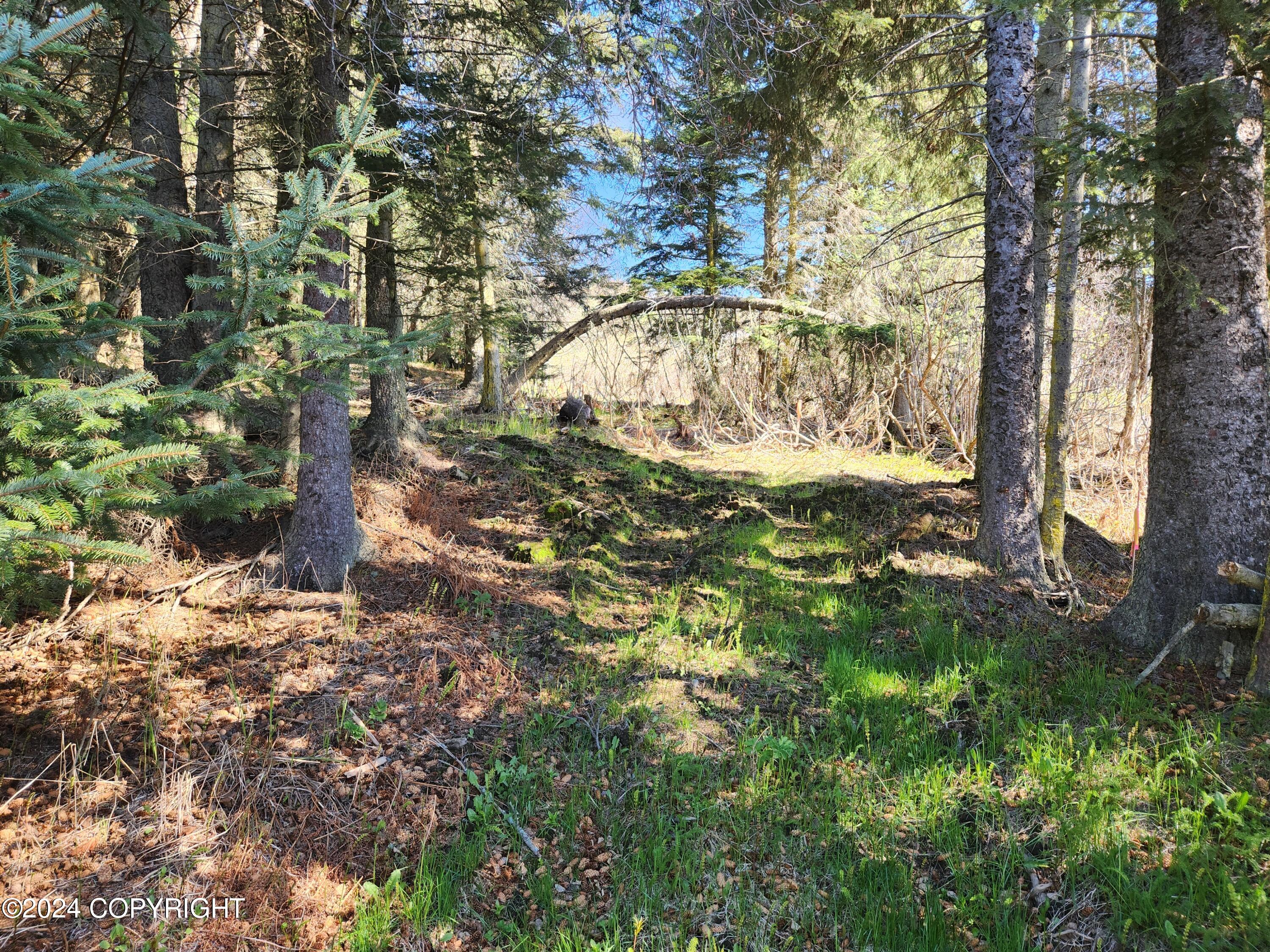 1742 Sterling Highway, Homer, Alaska image 7