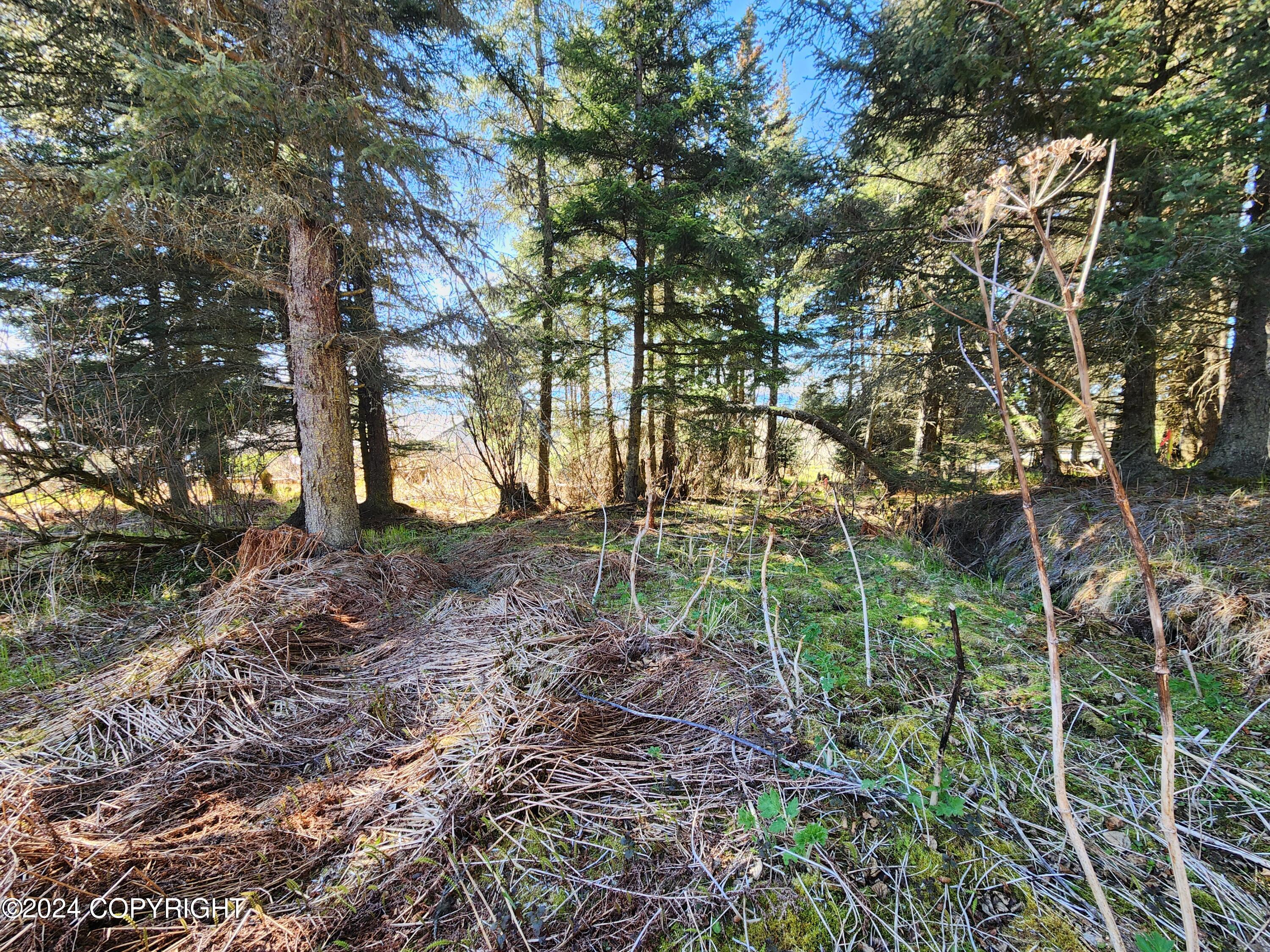 1742 Sterling Highway, Homer, Alaska image 9