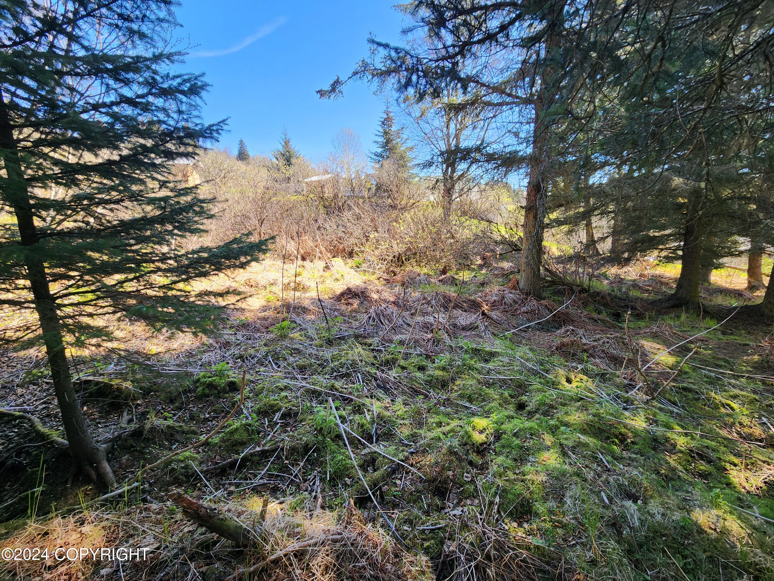1742 Sterling Highway, Homer, Alaska image 8