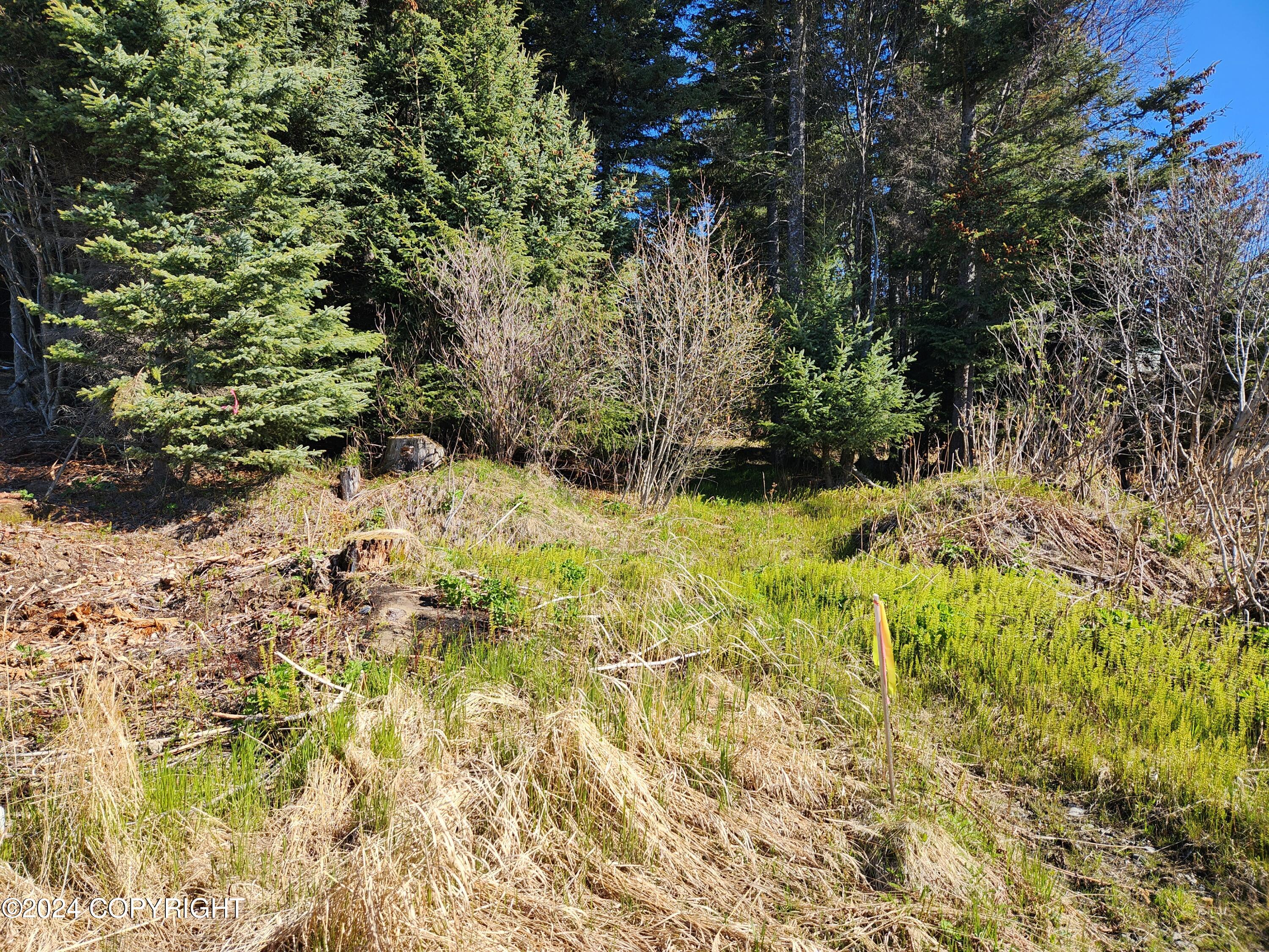 1742 Sterling Highway, Homer, Alaska image 6
