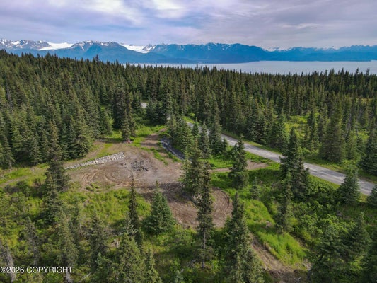 54540 HUTLER RD, HOMER, AK 99603 - Image ed4bcb367aa53c1f49974a1034df93b8/1865548430