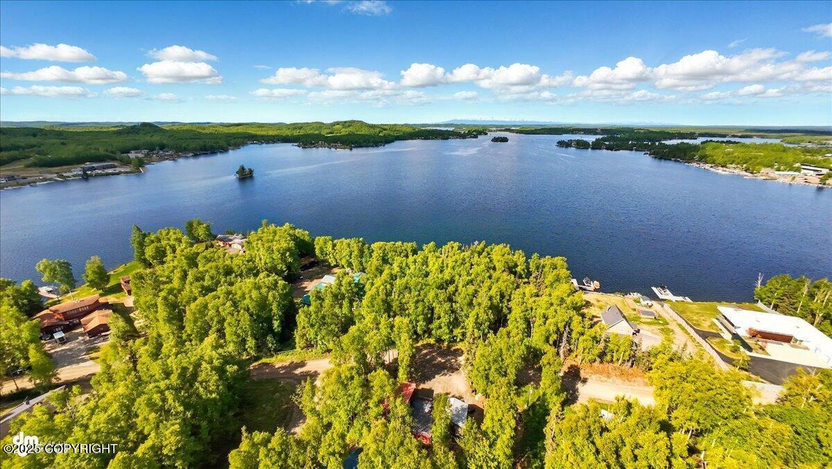 3819 S Lake View Loop, Big Lake, Alaska image 8