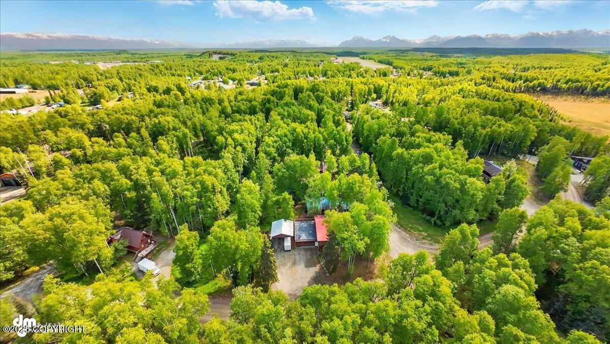 3819 S Lake View Loop, Big Lake, Alaska image 41
