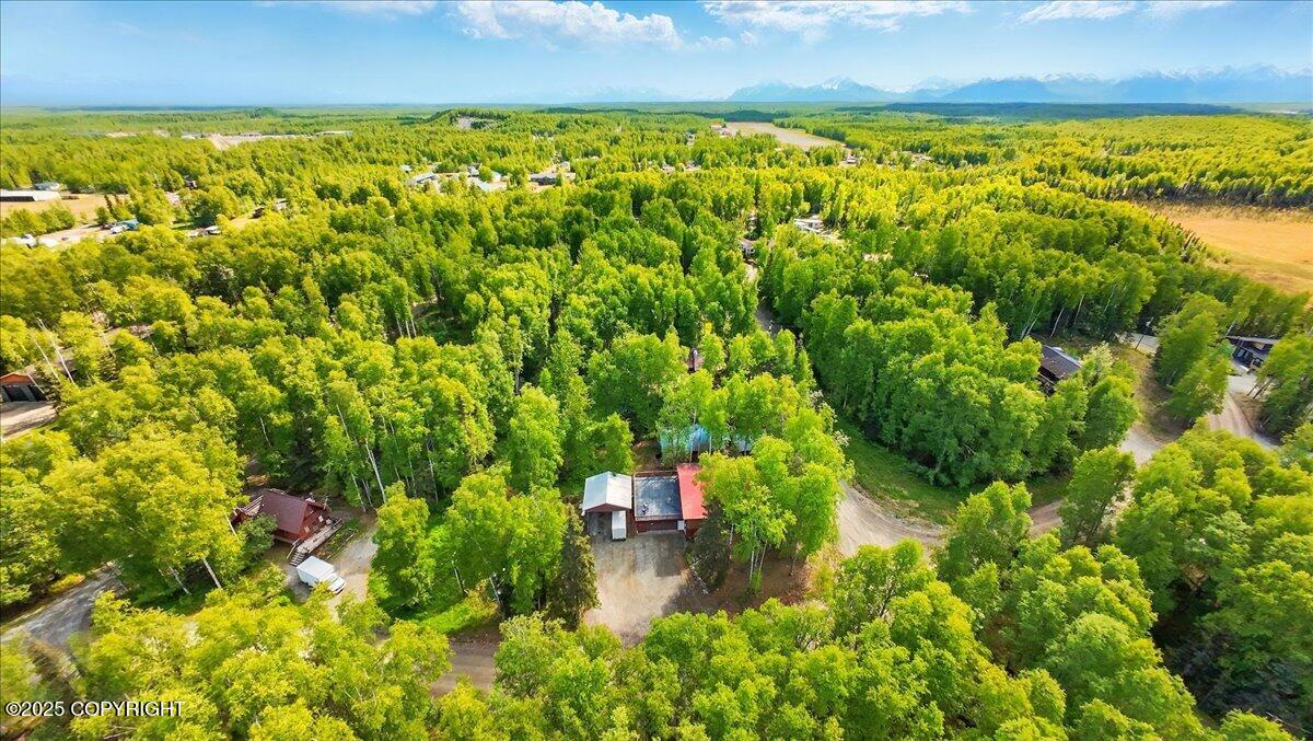 3819 S Lake View Loop, Big Lake, Alaska image 7