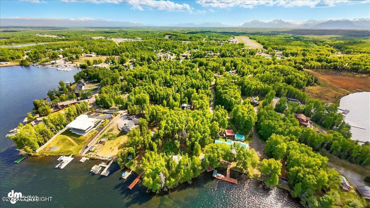 3819 S Lake View Loop, Big Lake, Alaska image 39