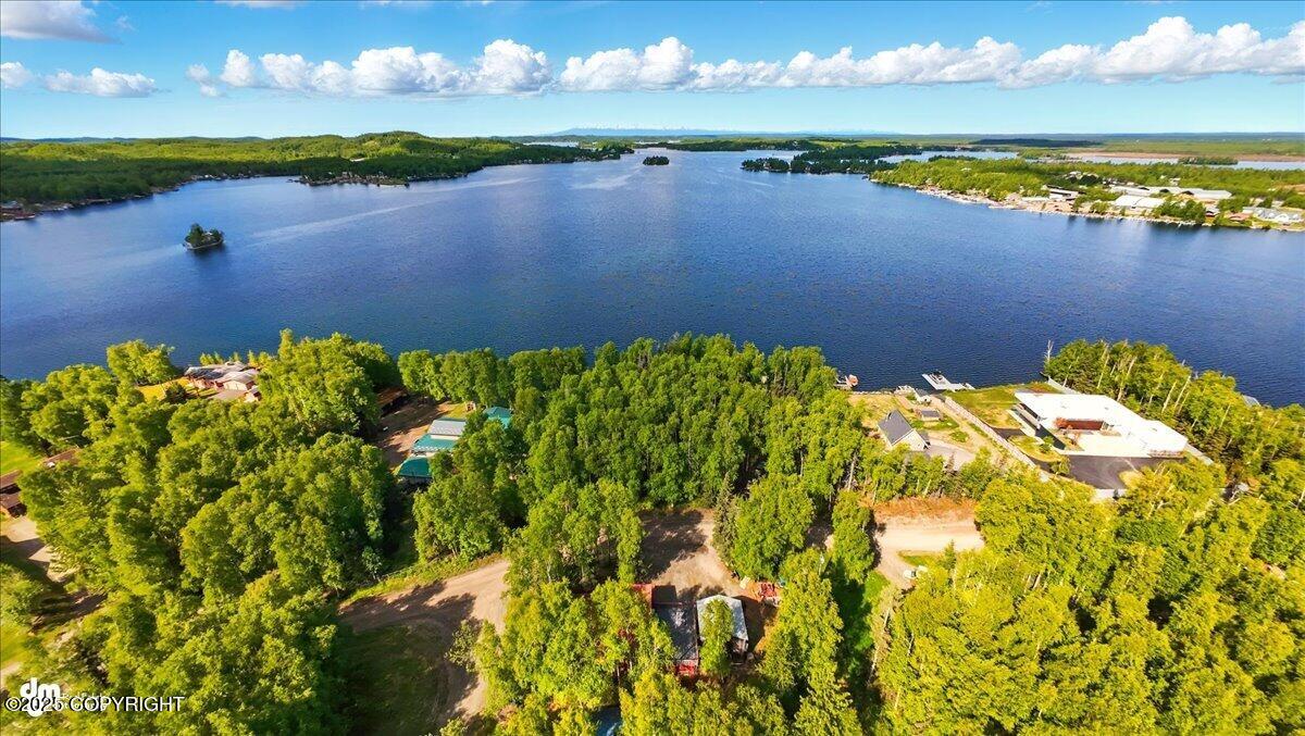 3819 S Lake View Loop, Big Lake, Alaska image 38