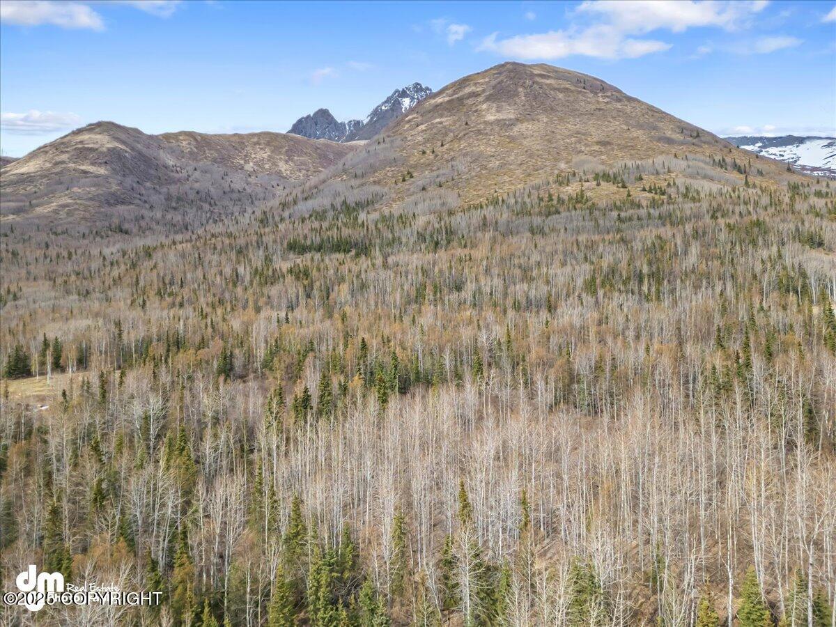 L1 Twin Peaks Drive, Chugiak, Alaska image 15