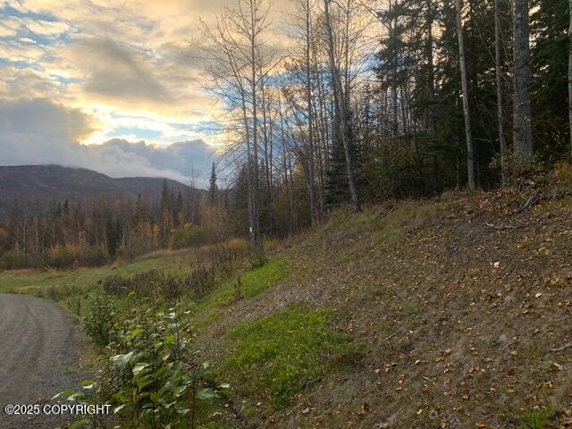 L1 Twin Peaks Drive, Chugiak, Alaska image 5