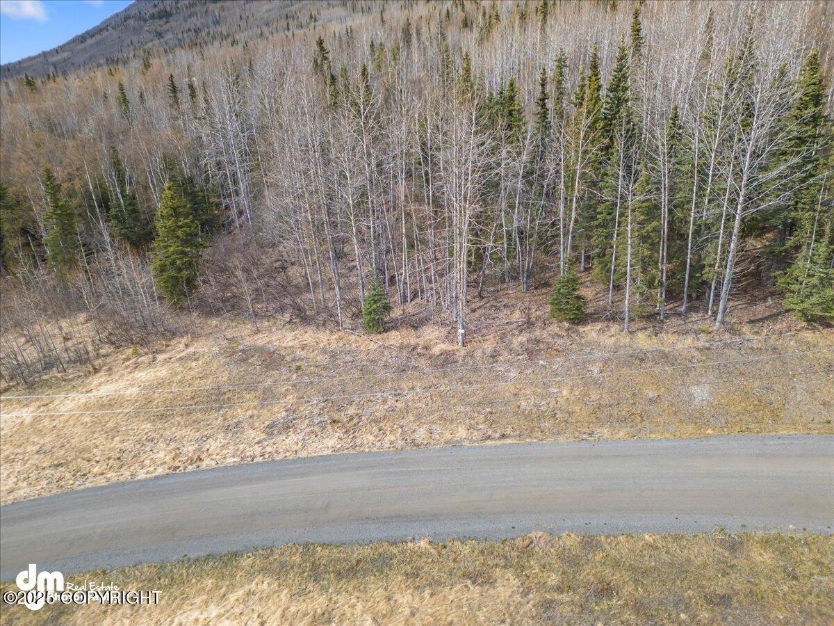 L1 Twin Peaks Drive, Chugiak, Alaska image 18