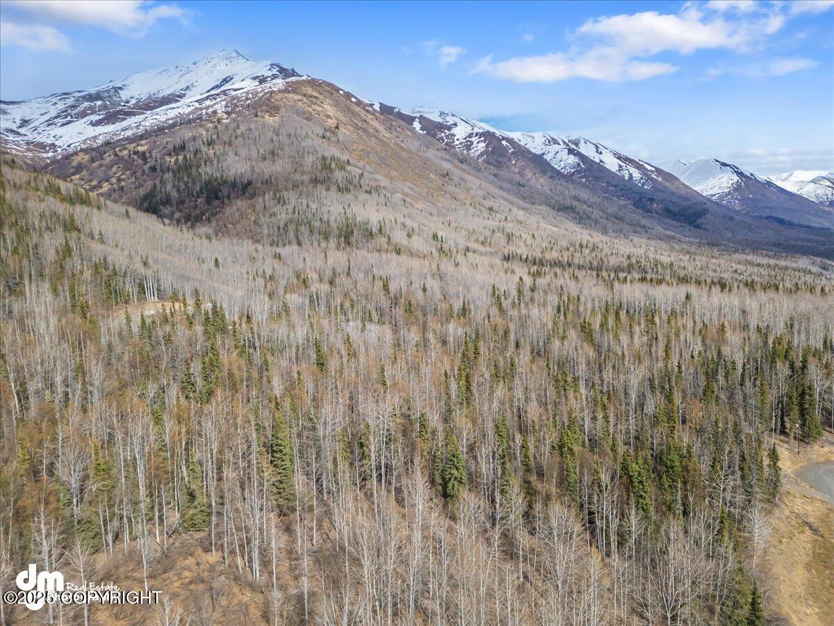 L1 Twin Peaks Drive, Chugiak, Alaska image 21