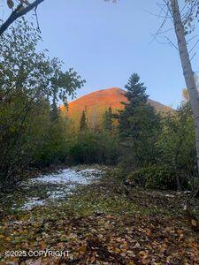 L1 Twin Peaks Drive, Chugiak, Alaska image 9