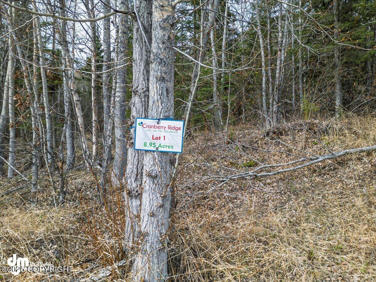 L1 Twin Peaks Drive, Chugiak, Alaska image 22