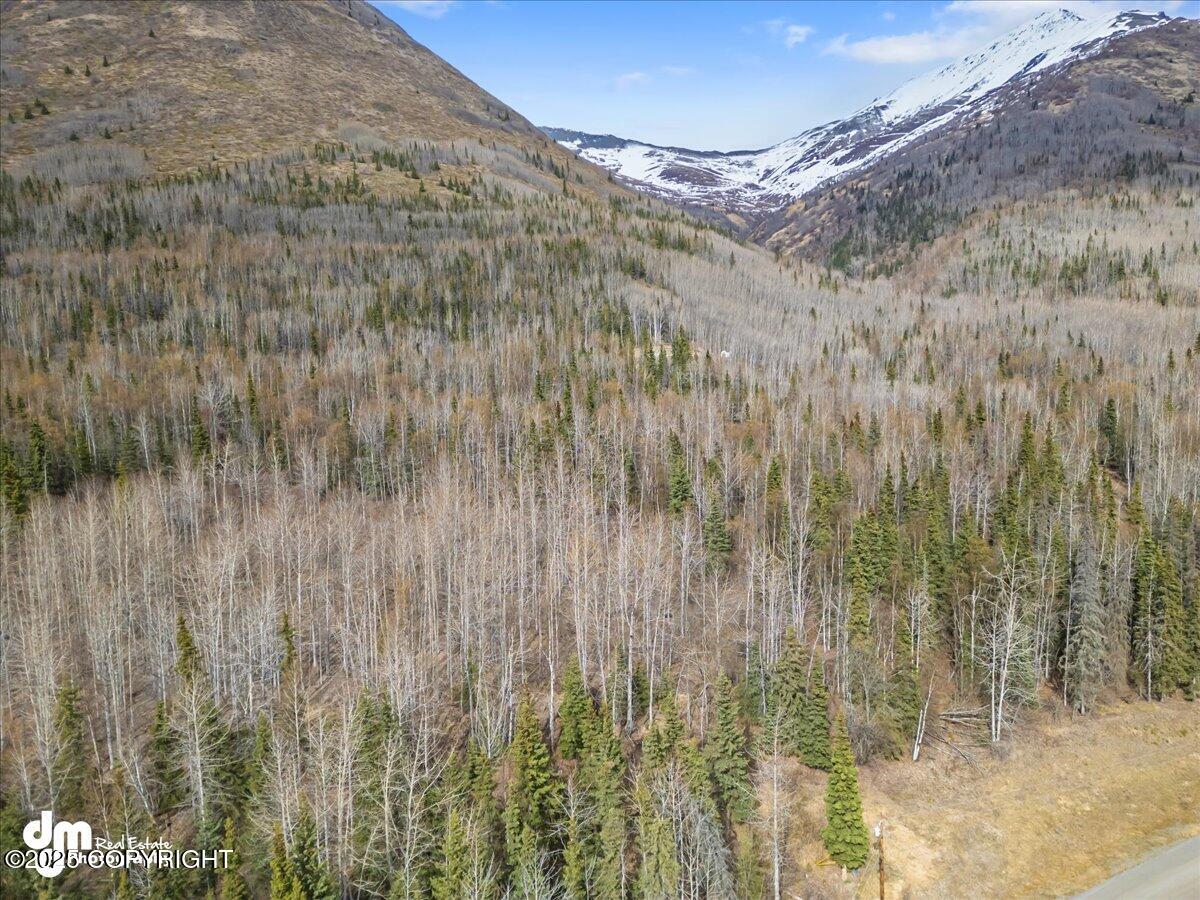 L1 Twin Peaks Drive, Chugiak, Alaska image 16
