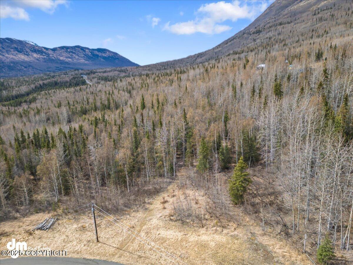 L1 Twin Peaks Drive, Chugiak, Alaska image 23