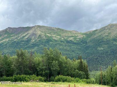 L1 Twin Peaks Drive, Chugiak, Alaska image 1