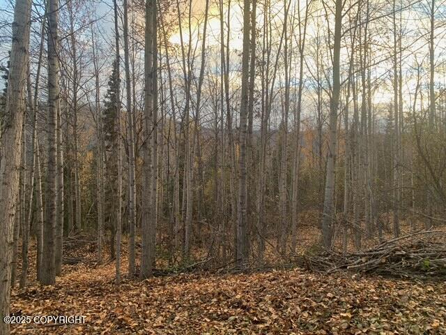 L1 Twin Peaks Drive, Chugiak, Alaska image 4